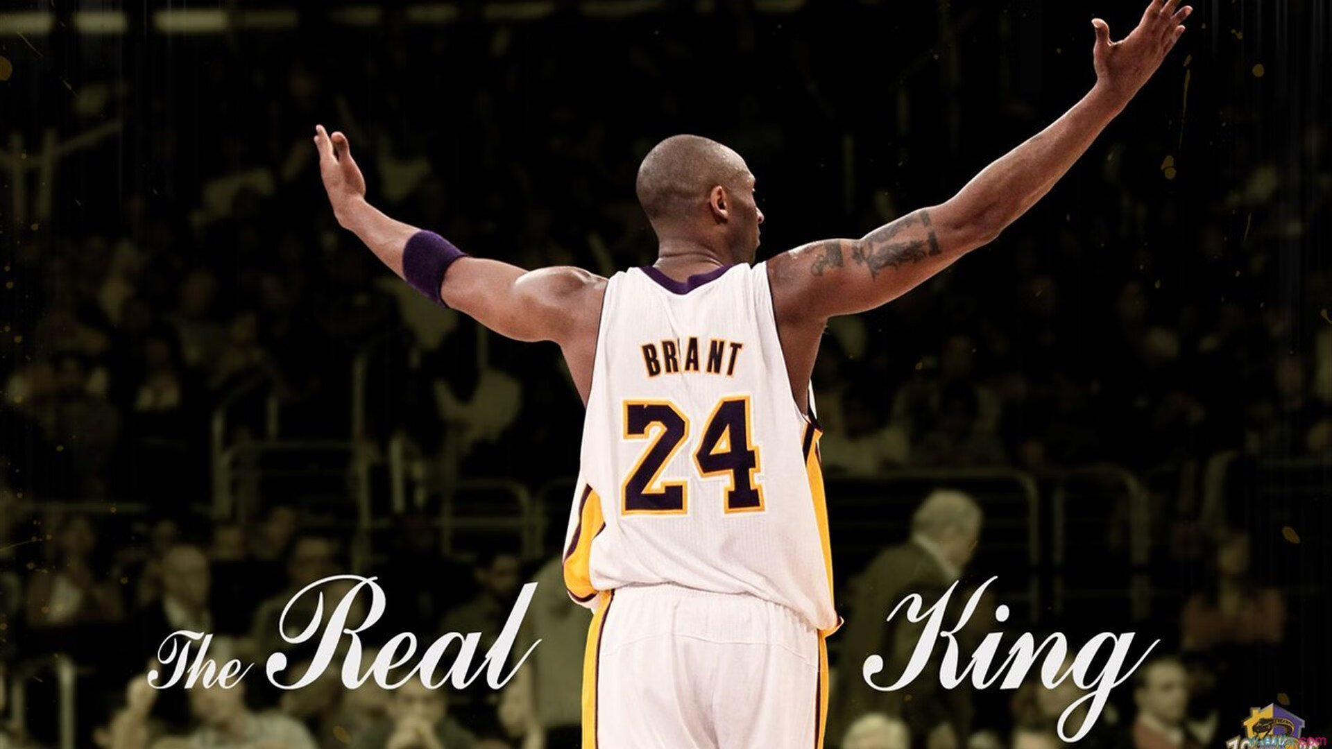 维尼修斯独舞伊比利亚之夜，葡萄牙横扫挪威背后的战术革命与个人统治